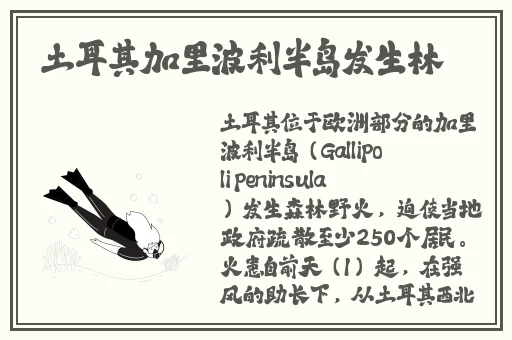 妇乱子伦小说全文阅读